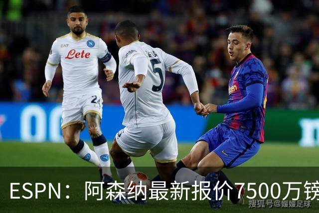 ESPN：阿森纳最新报价7500万镑想签吉马良斯，仍未达纽卡预期