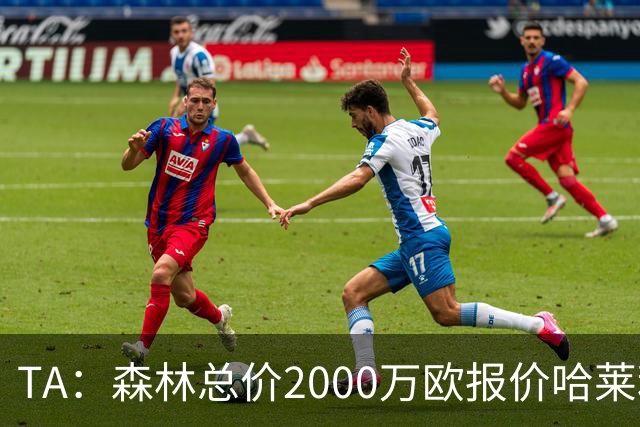 TA：森林总价2000万欧报价哈莱利，被圣吉罗斯拒绝